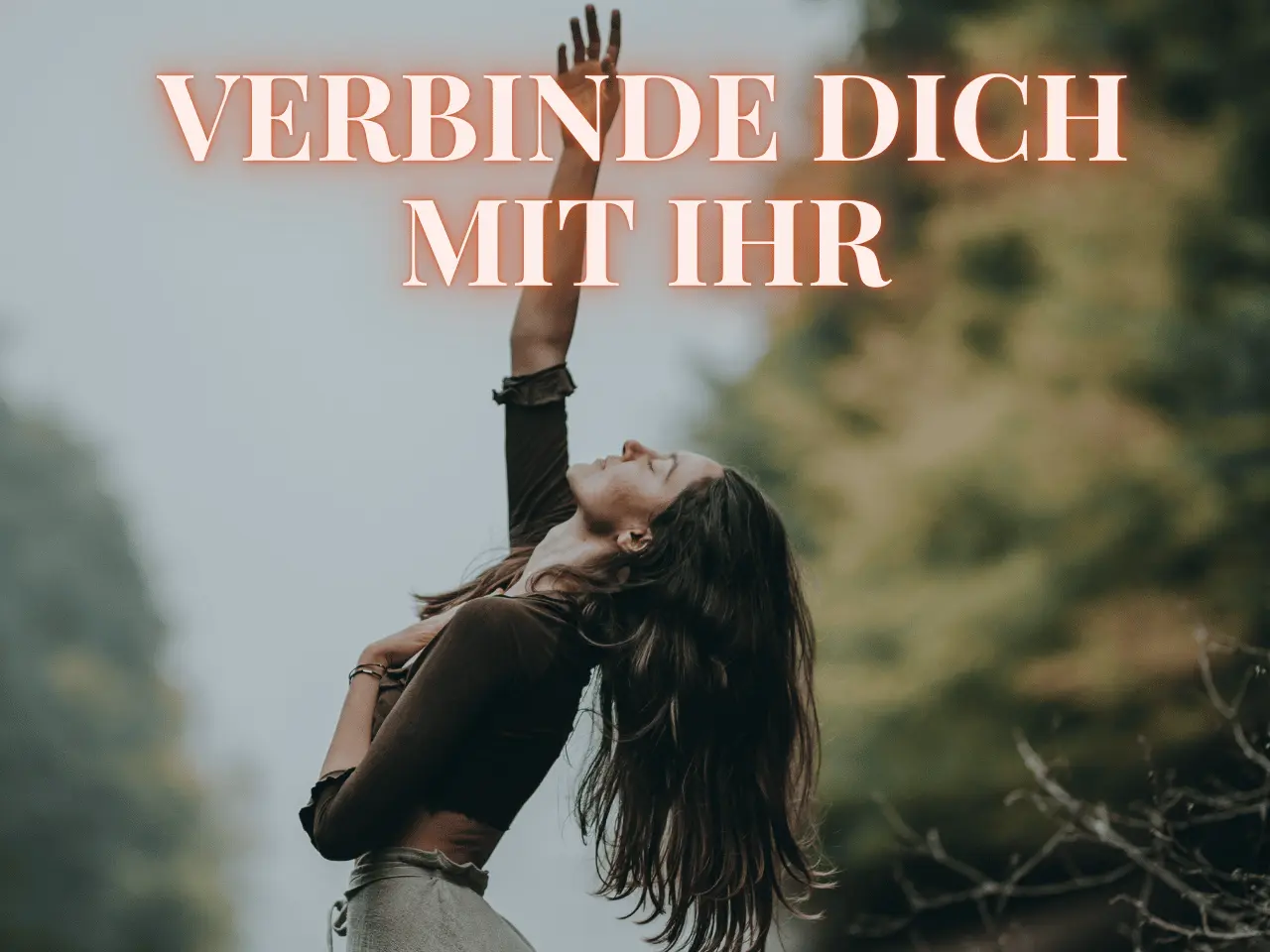 8 1